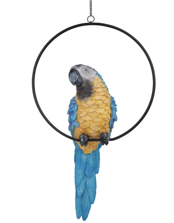 parrot themed gifts